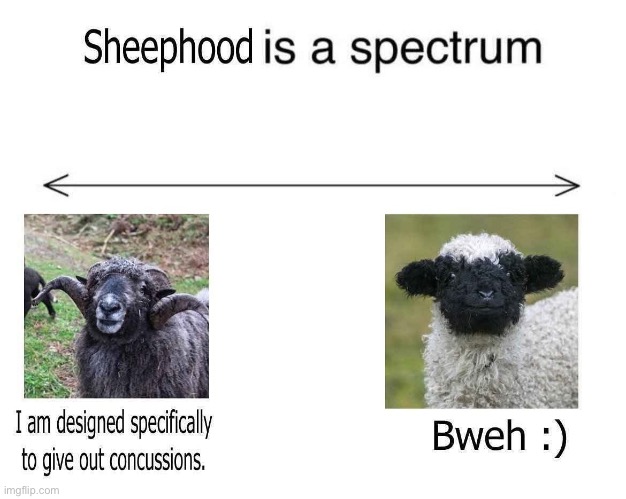 Sheep | image tagged in sheep,spectrum | made w/ Imgflip meme maker