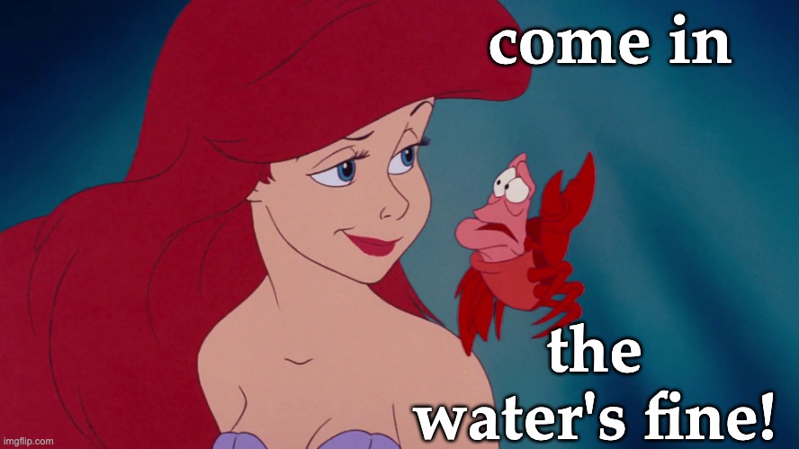 Skeptical Ariel | come in the water's fine! | image tagged in skeptical ariel | made w/ Imgflip meme maker