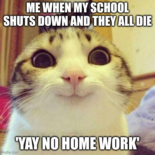 Smiling Cat | ME WHEN MY SCHOOL SHUTS DOWN AND THEY ALL DIE; 'YAY NO HOME WORK' | image tagged in memes,smiling cat | made w/ Imgflip meme maker