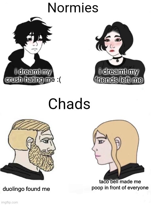 Chads vs normies | i dreamt my friends left me; i dreamt my crush hating me :(; duolingo found me; taco bell made me poop in front of everyone | image tagged in chads vs normies | made w/ Imgflip meme maker