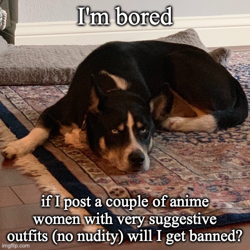 Istg there is no nudity, but yall mfs are prolly gonna goon to them | I'm bored; if I post a couple of anime women with very suggestive outfits (no nudity) will I get banned? | image tagged in bored dog | made w/ Imgflip meme maker