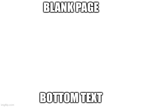 BLANK PAGE; BOTTOM TEXT | image tagged in blank white template | made w/ Imgflip meme maker