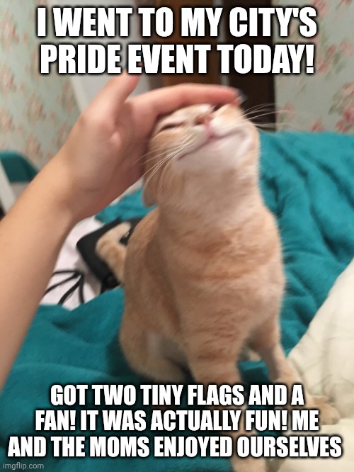 And I got mini donuts from a vendor,  so good | I WENT TO MY CITY'S PRIDE EVENT TODAY! GOT TWO TINY FLAGS AND A FAN! IT WAS ACTUALLY FUN! ME AND THE MOMS ENJOYED OURSELVES | image tagged in cat pat | made w/ Imgflip meme maker