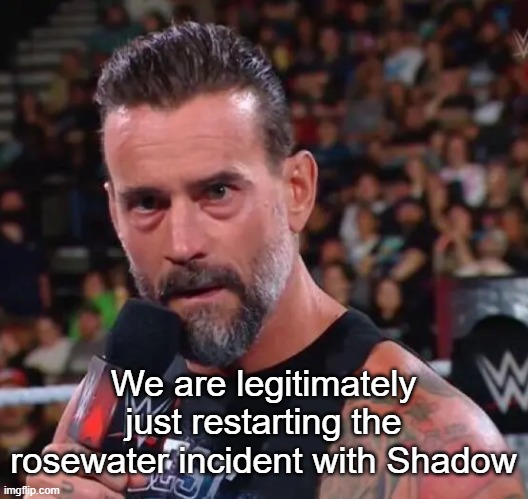 Yall remember rosewater and toadsei, yeah well it's kinda happening again | We are legitimately just restarting the rosewater incident with Shadow | image tagged in cm punk | made w/ Imgflip meme maker