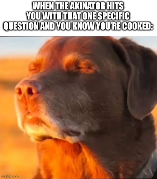 This happens to me all the time | WHEN THE AKINATOR HITS YOU WITH THAT ONE SPECIFIC QUESTION AND YOU KNOW YOU’RE COOKED: | image tagged in i'm cooked,true,relatable,funny | made w/ Imgflip meme maker