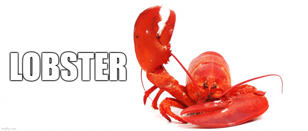 Lobster | LOBSTER | image tagged in lobster | made w/ Imgflip meme maker