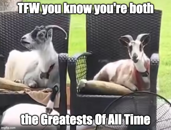 TFW you know you're both the Greatests Of All Time | TFW you know you're both; the Greatests Of All Time | image tagged in goat,goats,tfw | made w/ Imgflip meme maker