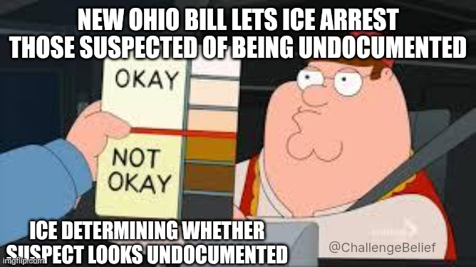 Ohio bill allows ice to arrest people without warrant | NEW OHIO BILL LETS ICE ARREST THOSE SUSPECTED OF BEING UNDOCUMENTED; ICE DETERMINING WHETHER SUSPECT LOOKS UNDOCUMENTED; @ChallengeBelief | image tagged in racist peter griffin family guy | made w/ Imgflip meme maker