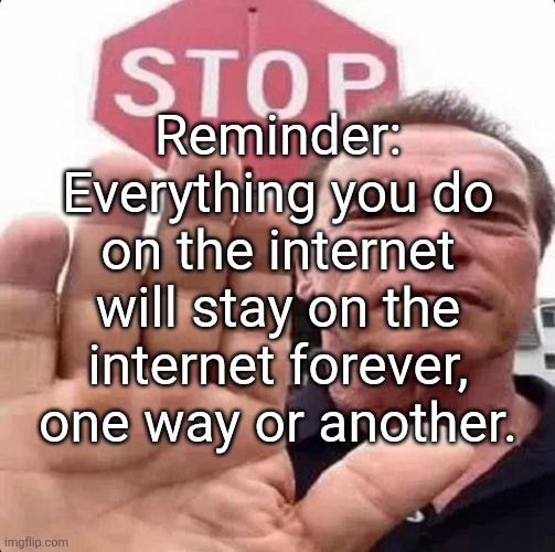 . | Reminder: Everything you do on the internet will stay on the internet forever, one way or another. | image tagged in guy in front of stop sign | made w/ Imgflip meme maker