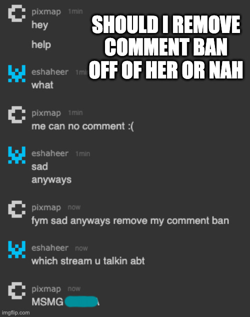 im too lazy so im not gonna >:) | SHOULD I REMOVE COMMENT BAN OFF OF HER OR NAH | made w/ Imgflip meme maker