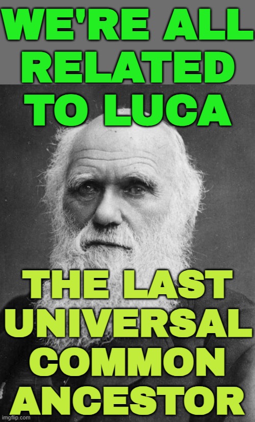 We’re All Related To LUCA | WE'RE ALL
RELATED
TO LUCA; THE LAST
UNIVERSAL
COMMON
ANCESTOR | image tagged in charles darwin,evolution,atheism,anti-religion,god religion universe,universe | made w/ Imgflip meme maker