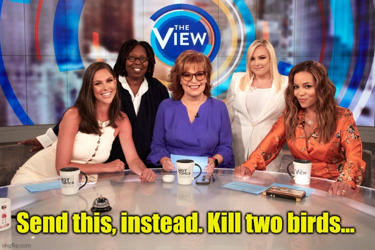 The View | Send this, instead. Kill two birds... | image tagged in the view | made w/ Imgflip meme maker