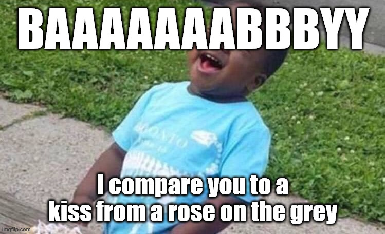 9y81pw.jpg