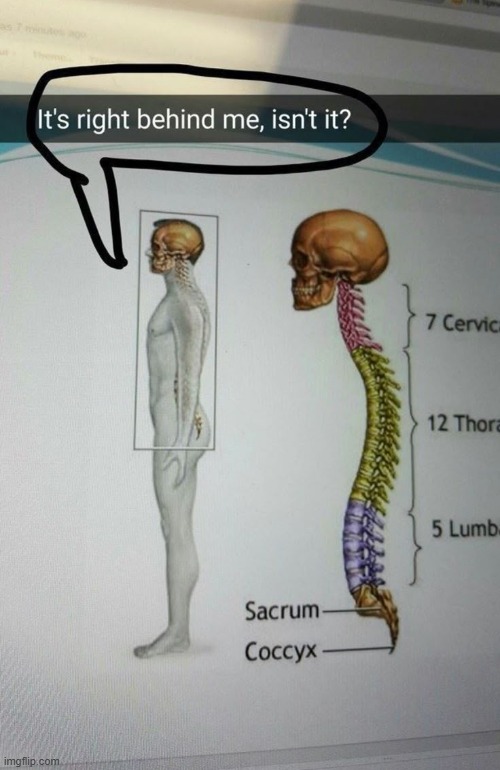 image tagged in memes,relatable | made w/ Imgflip meme maker