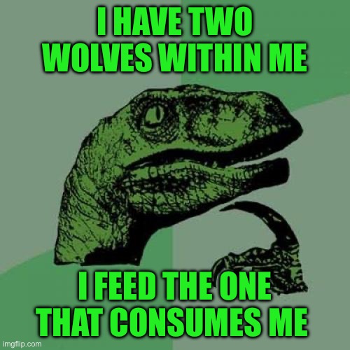 Philosoraptor | I HAVE TWO WOLVES WITHIN ME; I FEED THE ONE THAT CONSUMES ME | image tagged in memes,philosoraptor | made w/ Imgflip meme maker