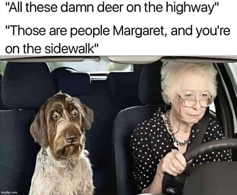 Grandma can't see well | image tagged in dark humor | made w/ Imgflip meme maker