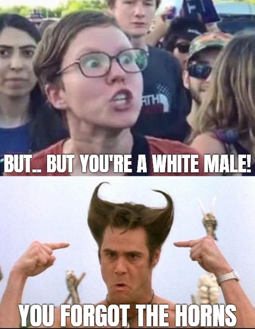 BUT.. BUT YOU'RE A WHITE MALE! YOU FORGOT THE HORNS | image tagged in triggered liberal,ace ventura,funny | made w/ Imgflip meme maker
