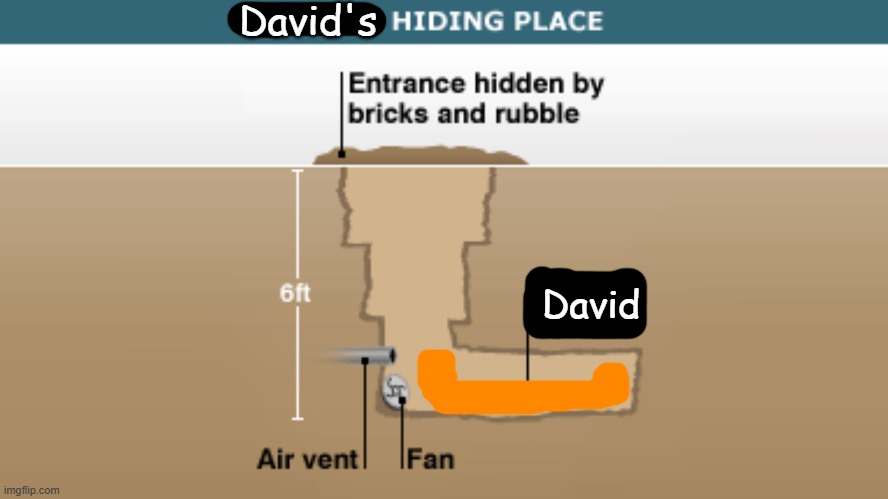 Saddam's Hiding Place | David's; David | image tagged in saddam's hiding place | made w/ Imgflip meme maker