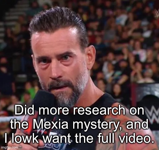 It's been quite the rabbit hole I've been digging myself in. | Did more research on the Mexia mystery, and I lowk want the full video. | image tagged in cm punk | made w/ Imgflip meme maker