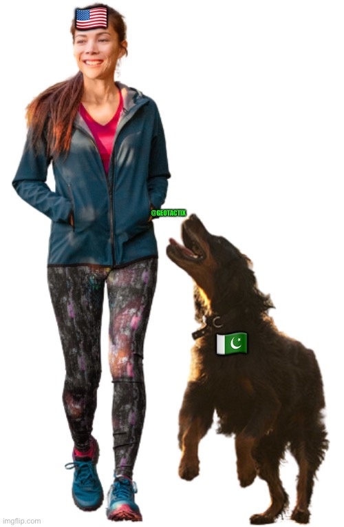 Pakistan: the American pet | 🇺🇸; @GEOTACTIX; 🇵🇰 | image tagged in dog owner | made w/ Imgflip meme maker