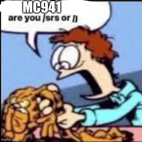 Garfield are you /srs or /j | MC941 | image tagged in garfield are you /srs or /j | made w/ Imgflip meme maker
