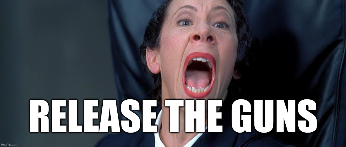 Frau Farbissina | RELEASE THE GUNS | image tagged in frau farbissina | made w/ Imgflip meme maker