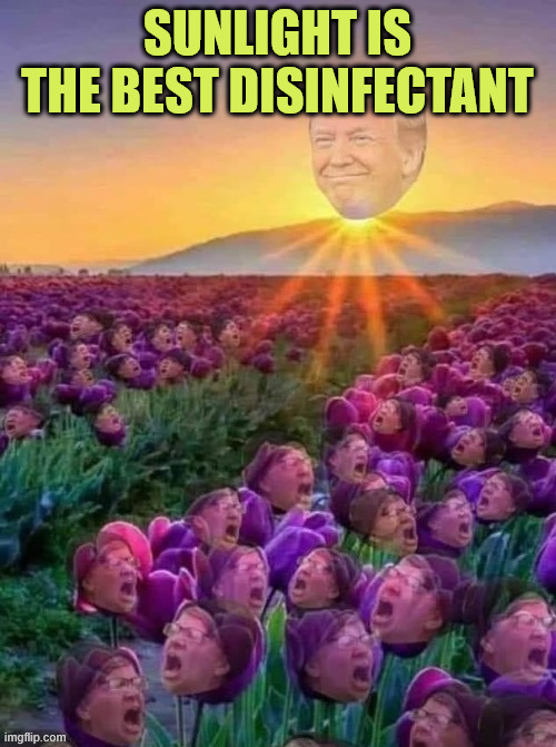 SUNLIGHT IS THE BEST DISINFECTANT | made w/ Imgflip meme maker