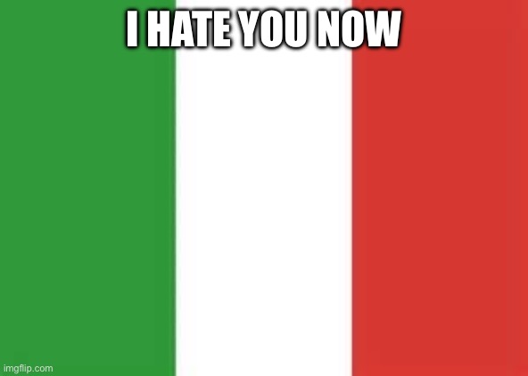 italy flag | I HATE YOU NOW | image tagged in italy flag | made w/ Imgflip meme maker