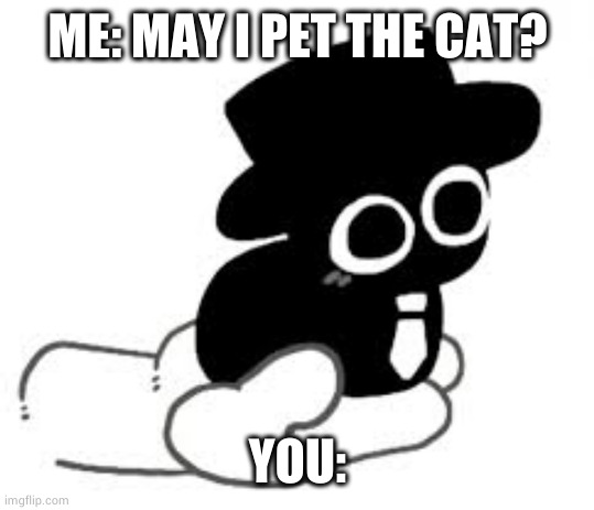 Cats are so cute! | ME: MAY I PET THE CAT? YOU: | image tagged in cute cat | made w/ Imgflip meme maker