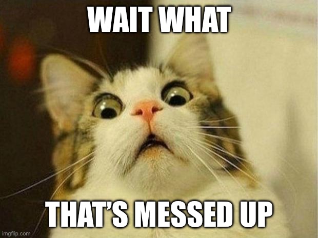 WAIT WHAT THAT’S MESSED UP | image tagged in memes,scared cat | made w/ Imgflip meme maker