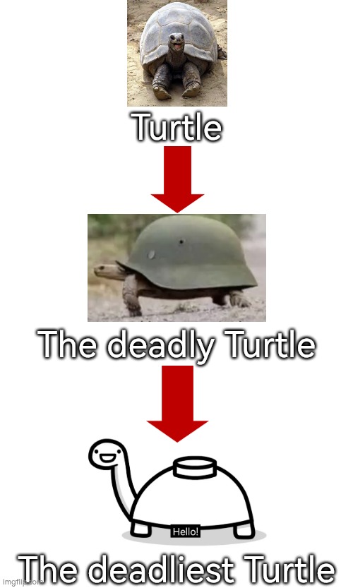 It is evolving, just deadly. | Turtle; The deadly Turtle; The deadliest Turtle | image tagged in turtle,deadly | made w/ Imgflip meme maker