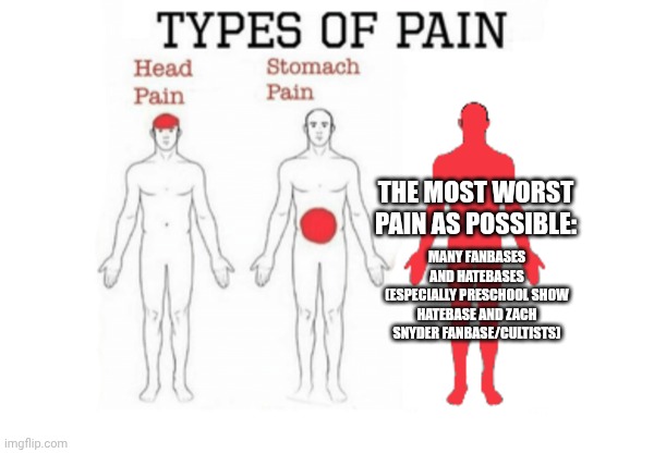 Types of Pain | THE MOST WORST PAIN AS POSSIBLE:; MANY FANBASES AND HATEBASES (ESPECIALLY PRESCHOOL SHOW HATEBASE AND ZACH SNYDER FANBASE/CULTISTS) | image tagged in types of pain,meme,memes,worst pain,fanbase,hatebase | made w/ Imgflip meme maker