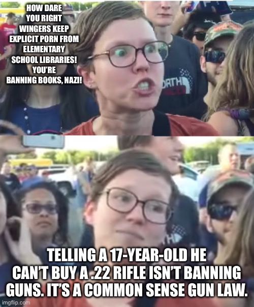 Leftist (IL)LOGIC | HOW DARE YOU RIGHT WINGERS KEEP EXPLICIT P0RN FROM ELEMENTARY SCHOOL LIBRARIES! YOU’RE BANNING BOOKS, NAZI! TELLING A 17-YEAR-OLD HE CAN’T BUY A .22 RIFLE ISN’T BANNING GUNS. IT’S A COMMON SENSE GUN LAW. | image tagged in two faced liberal snowflake | made w/ Imgflip meme maker