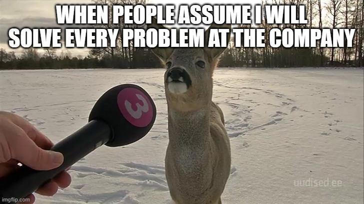 deer interview | WHEN PEOPLE ASSUME I WILL SOLVE EVERY PROBLEM AT THE COMPANY | image tagged in deer interview | made w/ Imgflip meme maker
