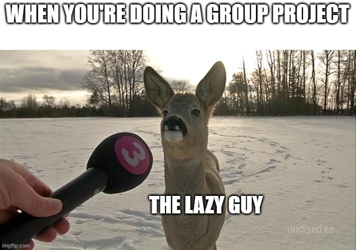 Group project | WHEN YOU'RE DOING A GROUP PROJECT; THE LAZY GUY | image tagged in deer interview | made w/ Imgflip meme maker