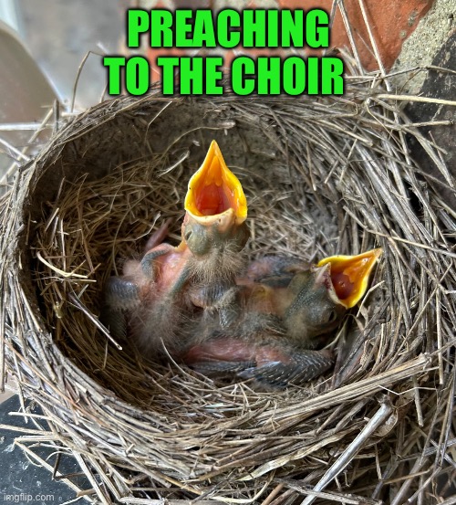 Seems like nobody is listening | PREACHING TO THE CHOIR | image tagged in chirping,choir,funny,birds,preaching to the mob | made w/ Imgflip meme maker