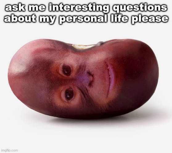 Primate | ask me interesting questions about my personal life please | image tagged in primate | made w/ Imgflip meme maker