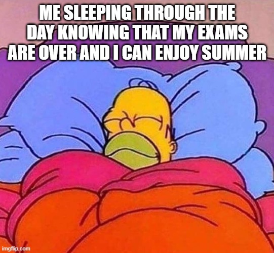 exam stress is just gone *poof* | ME SLEEPING THROUGH THE DAY KNOWING THAT MY EXAMS ARE OVER AND I CAN ENJOY SUMMER | image tagged in homer simpson sleeping peacefully | made w/ Imgflip meme maker