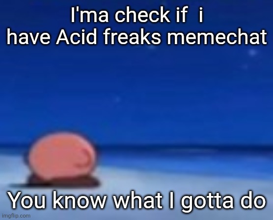 Stupid fuck | I'ma check if  i have Acid freaks memechat; You know what I gotta do | image tagged in stupid fuck | made w/ Imgflip meme maker