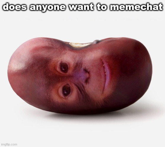 Primate | does anyone want to memechat | image tagged in primate | made w/ Imgflip meme maker