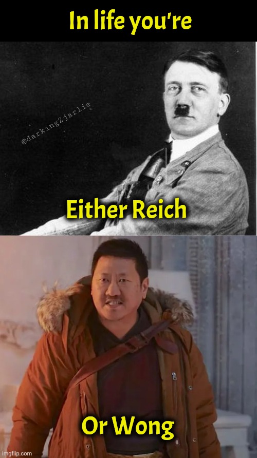 No matter how Wong I'm today one day I'll be Reich. | In life you're; @darking2jarlie; Either Reich; Or Wong | image tagged in hitler relax,this is wong,hitler,dark humor | made w/ Imgflip meme maker