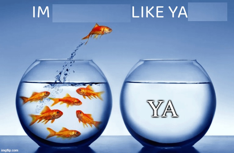ya | YA | image tagged in i m nothin like yall | made w/ Imgflip meme maker