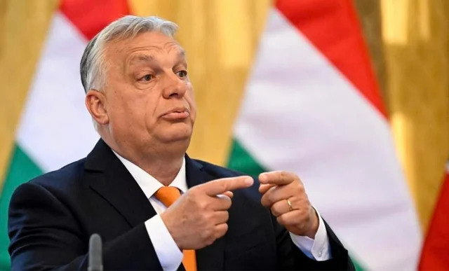 fityesz Blank Meme Template