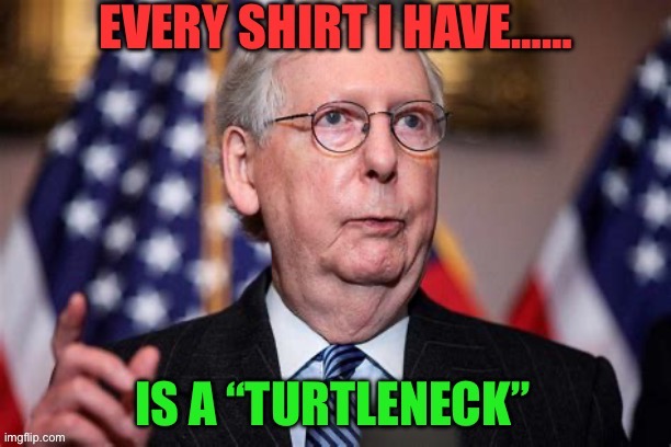 Original Turtleneck | image tagged in gifs,funny,jokes,mitch mcconnell,turtle,turtle meme | made w/ Imgflip meme maker