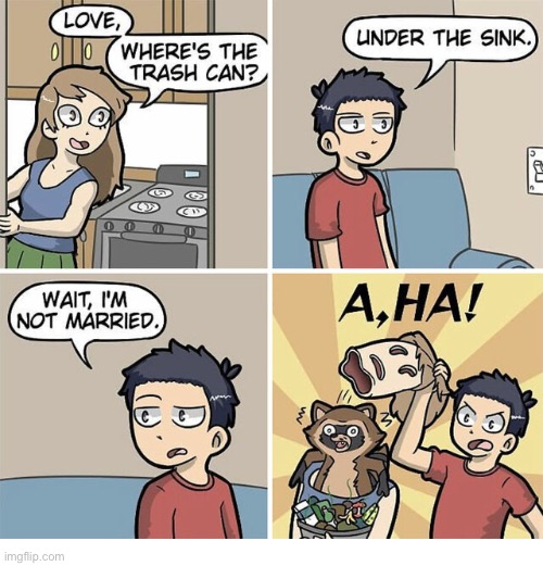 Those raccoons are sneaky little varmints… | image tagged in comics,deception,raccoon | made w/ Imgflip meme maker