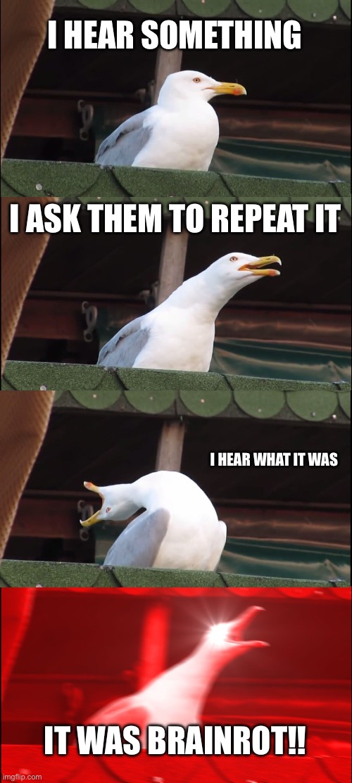 Inhaling Seagull | I HEAR SOMETHING; I ASK THEM TO REPEAT IT; I HEAR WHAT IT WAS; IT WAS BRAINROT!! | image tagged in memes,inhaling seagull | made w/ Imgflip meme maker