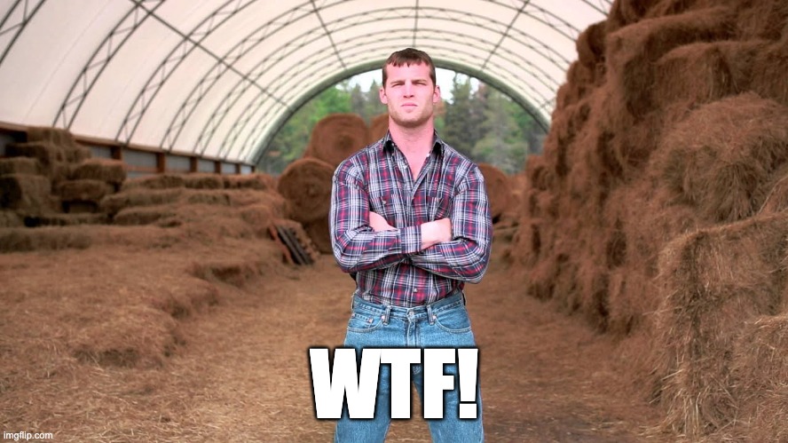 Letterkenny | WTF! | image tagged in letterkenny | made w/ Imgflip meme maker
