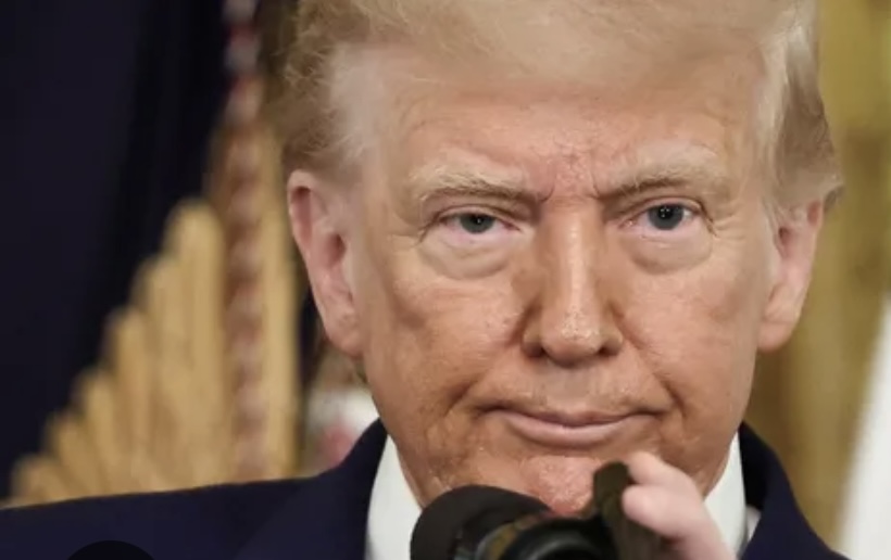 Little donny Blank Meme Template