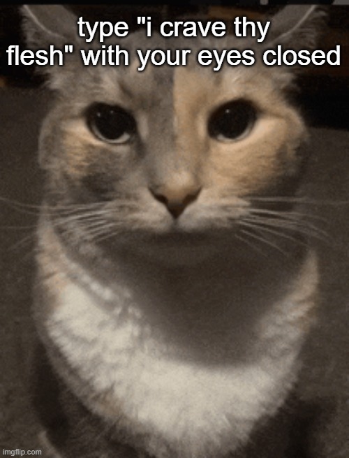 cat dead stare | type "i crave thy flesh" with your eyes closed | image tagged in cat dead stare | made w/ Imgflip meme maker