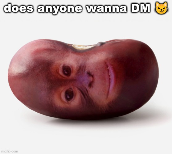 Primate | does anyone wanna DM 😼 | image tagged in primate | made w/ Imgflip meme maker